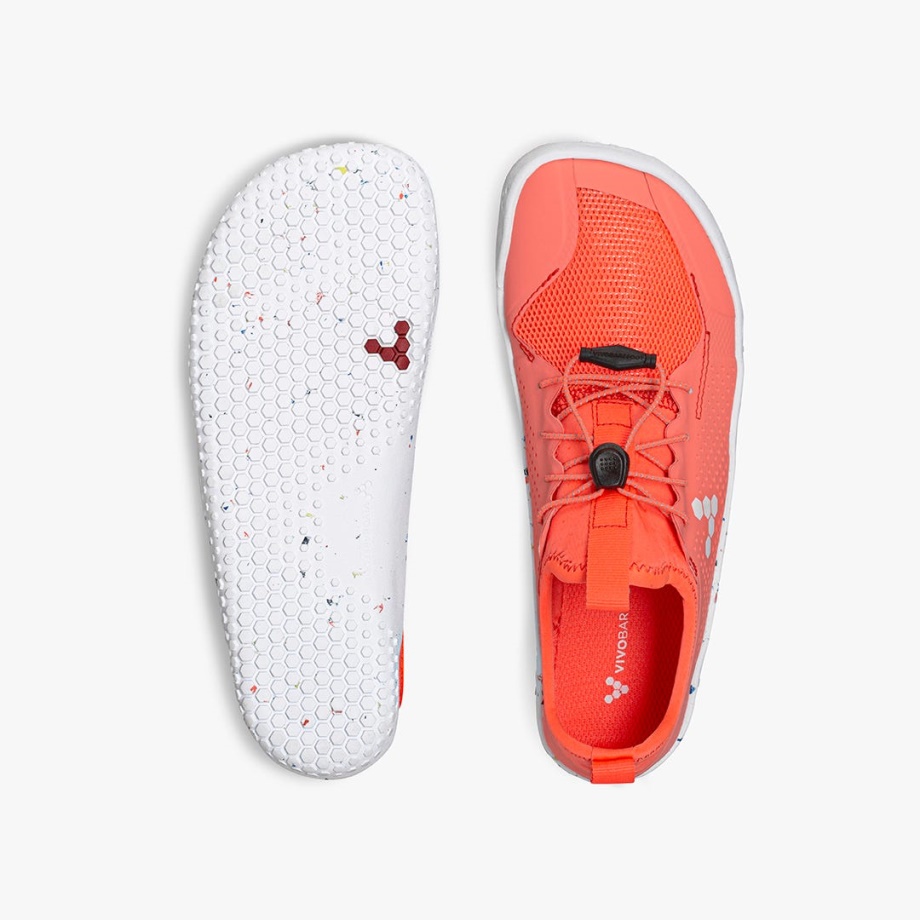 Junioru Pirmais Sporta Veids Ir Kausēta Lava