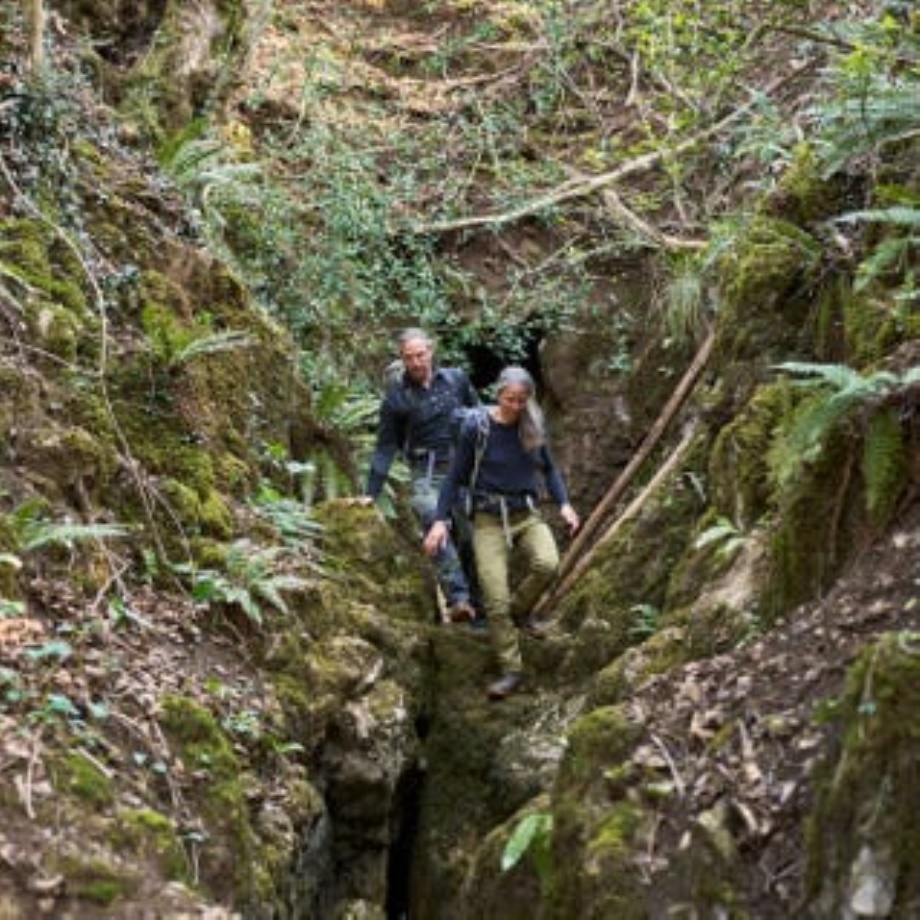 Tracker Mežs Esc Sieviešu Bracken